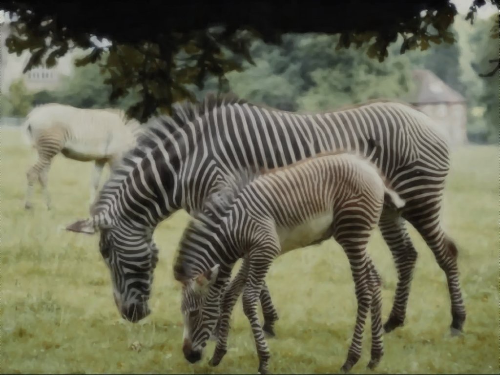 Zebras 111 KB